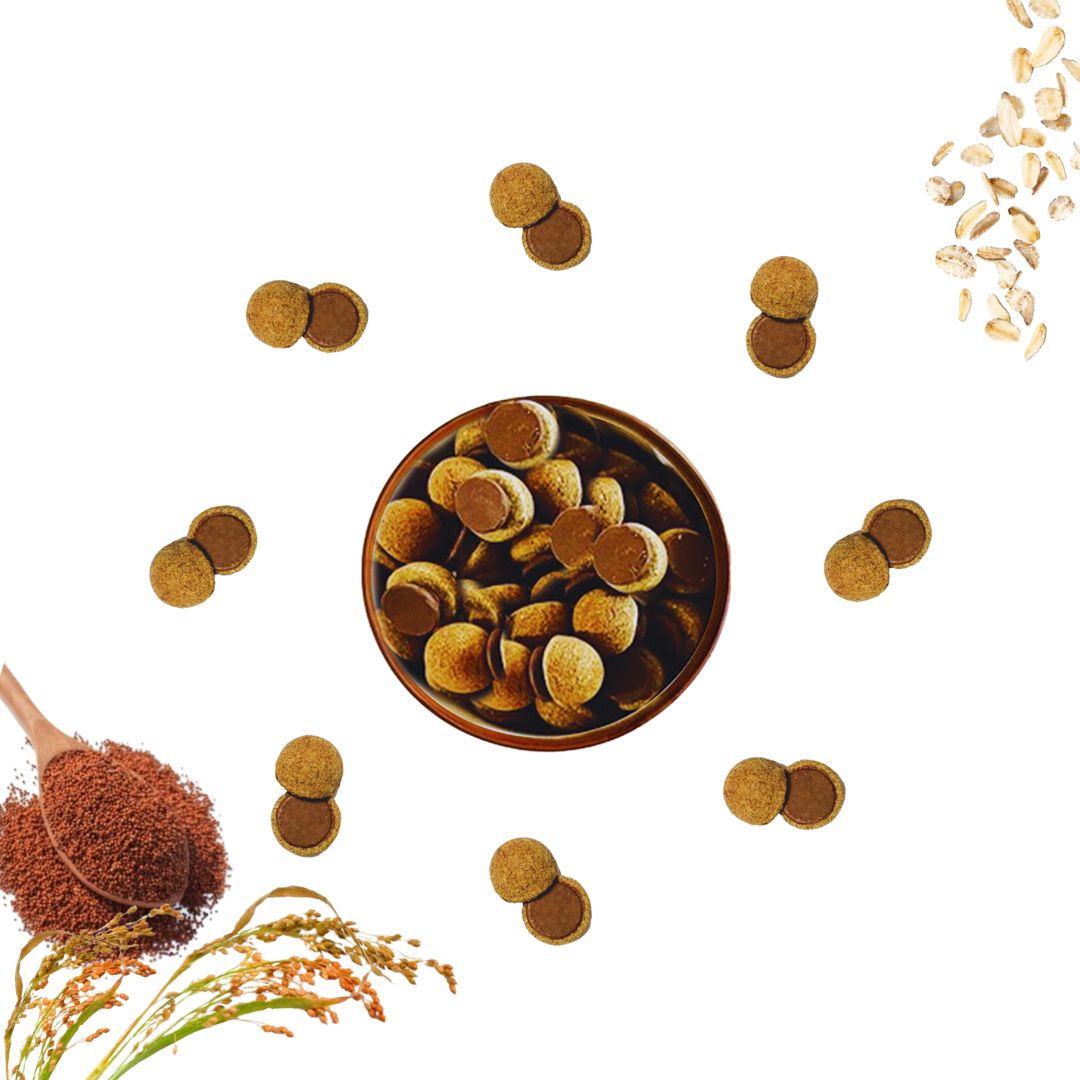 Ragi Oats Bites with Chocolate